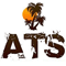 Animation Tourism Service