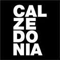 Assunzioni Calzedonia