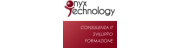 Onyx Technology